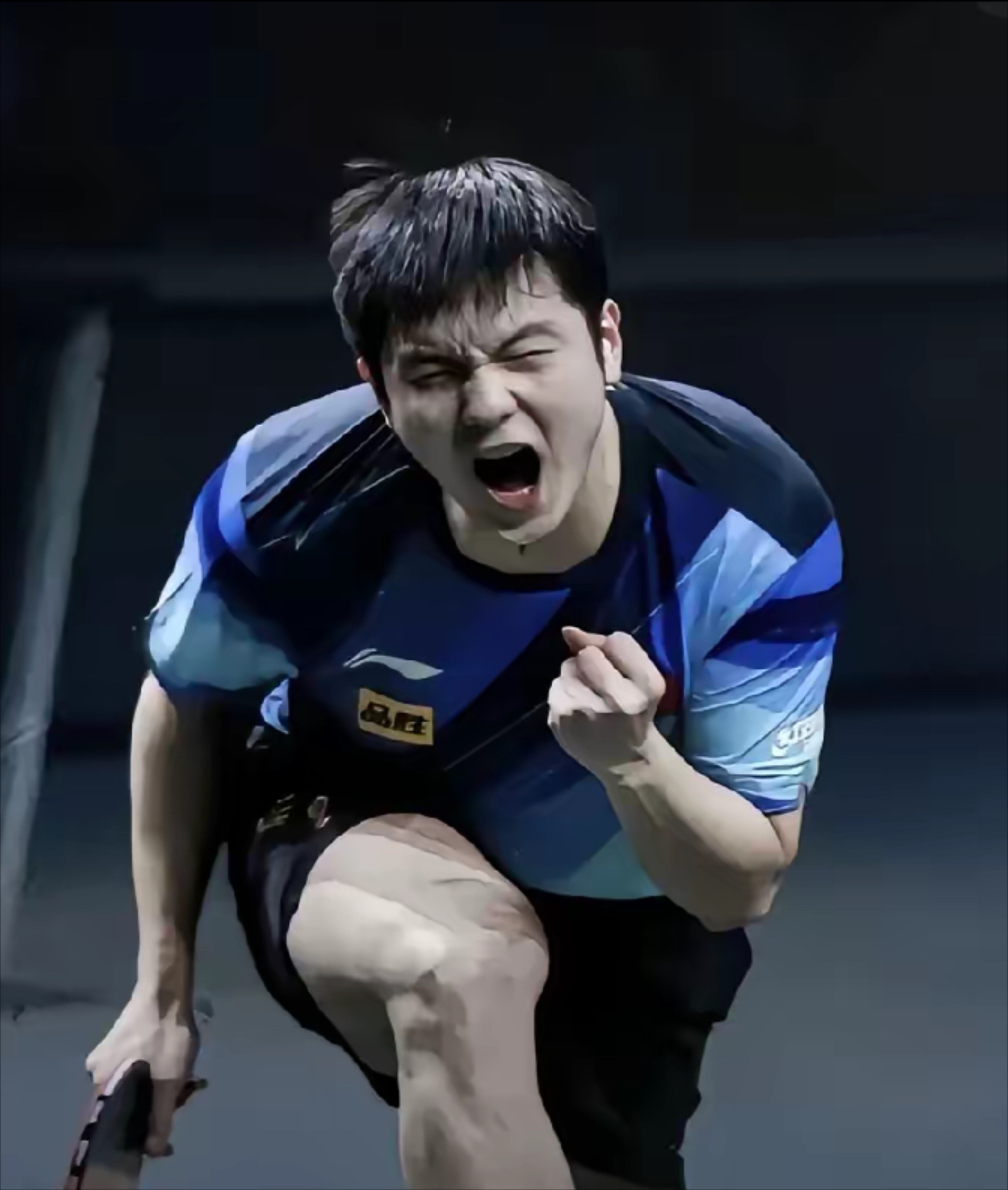 瑞典乒乓球队轻取韩国乒乓球队，樊振东送出助攻的简单介绍