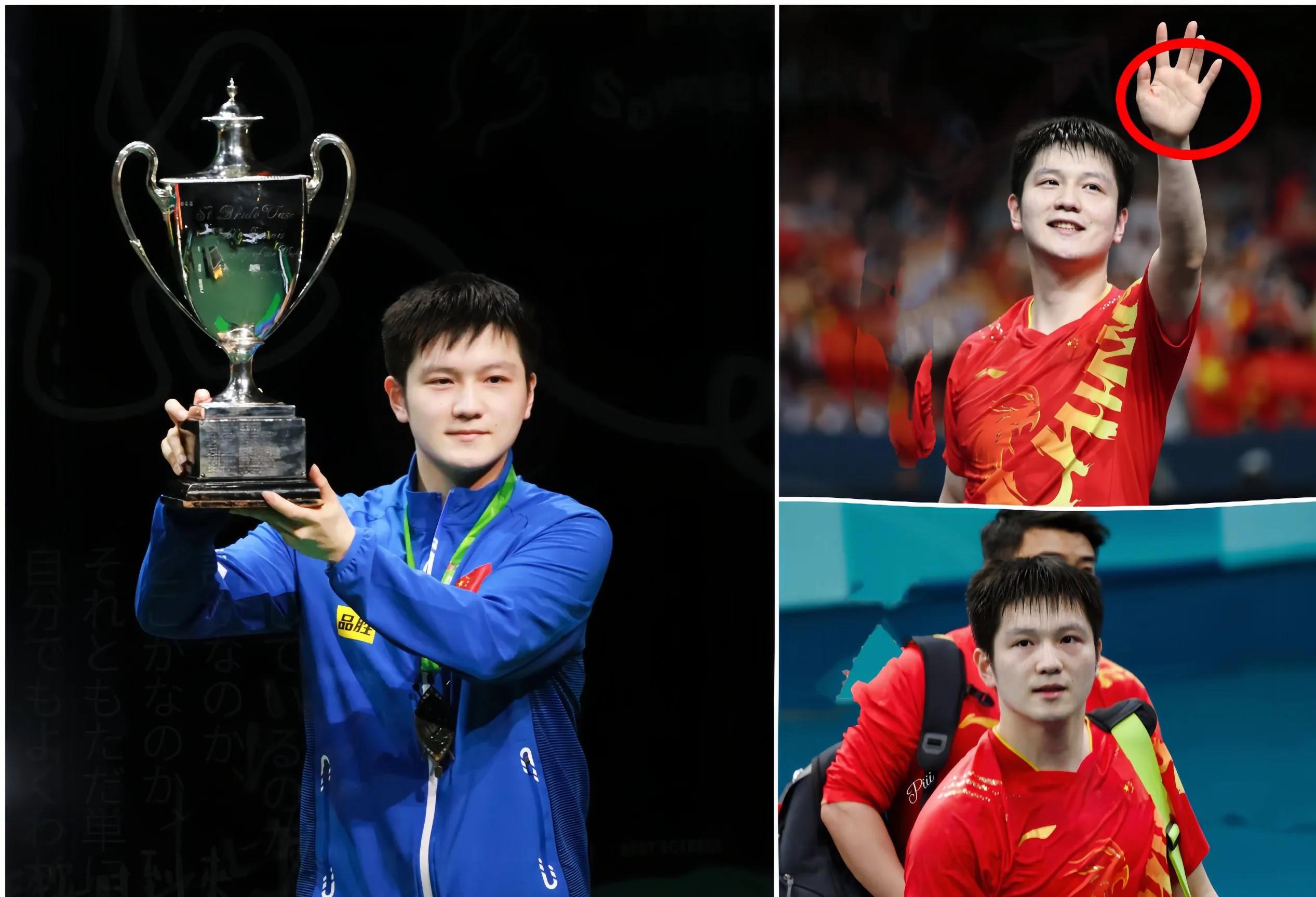 瑞典乒乓球队轻取韩国乒乓球队，樊振东送出助攻的简单介绍