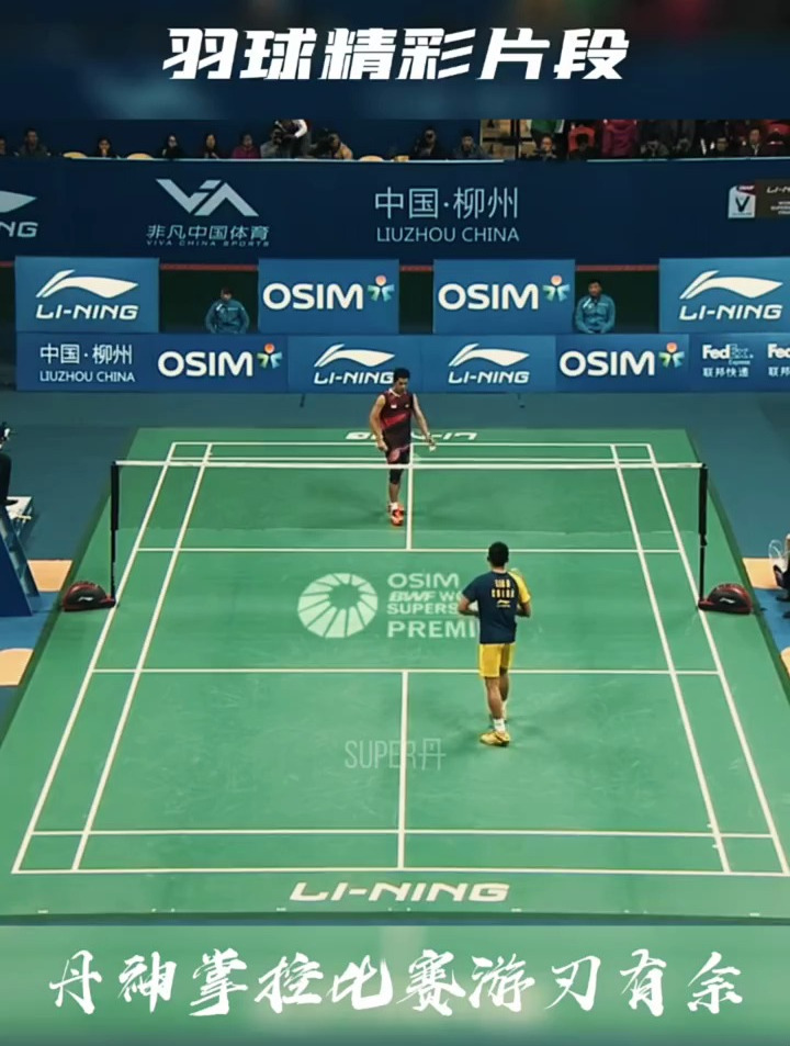 中国羽毛球队险胜法国羽毛球队，林丹关键制胜的简单介绍
