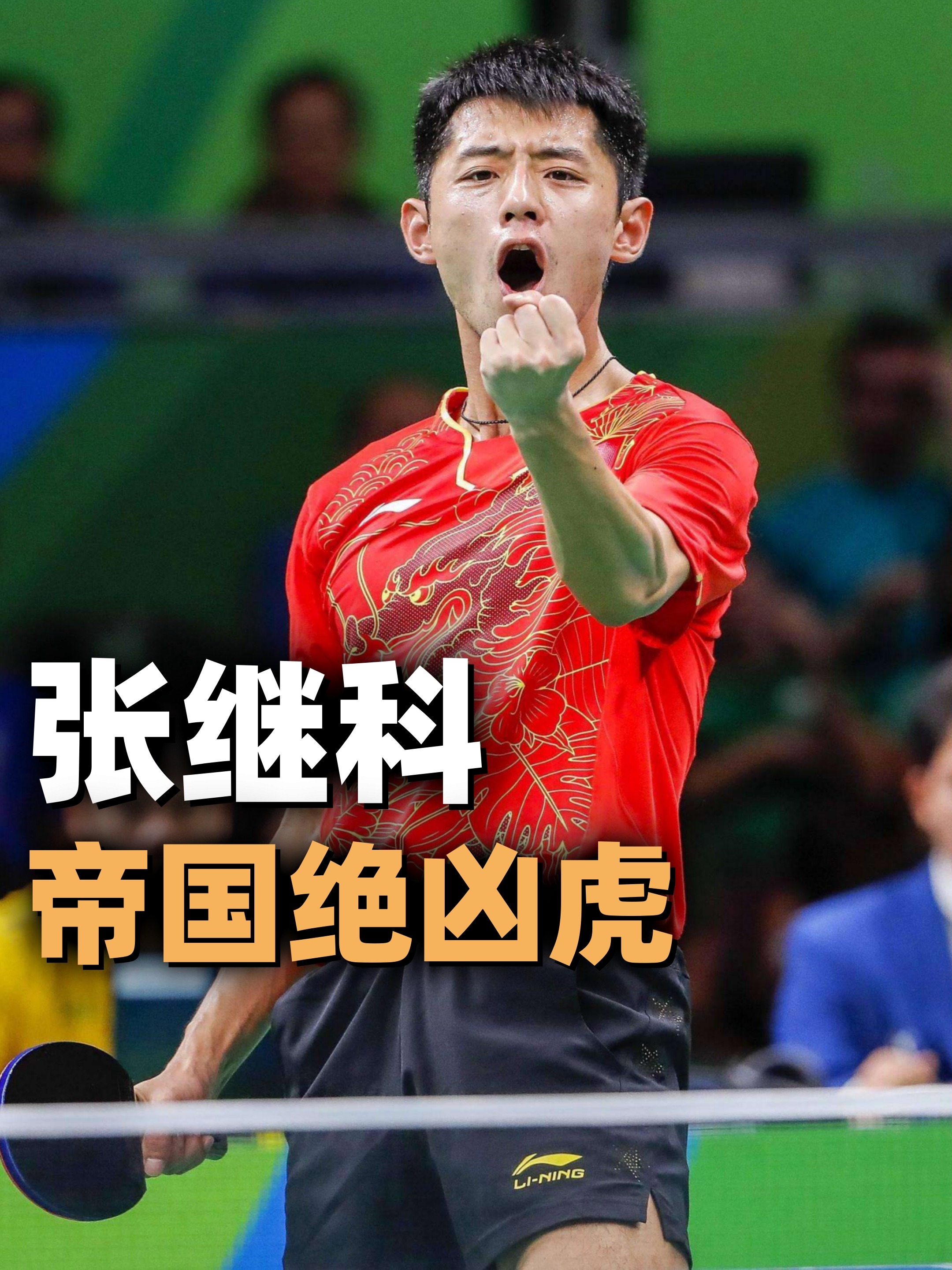 包含奥地利乒乓球队鏖战中国乒乓球队，张继科惊艳世界的词条