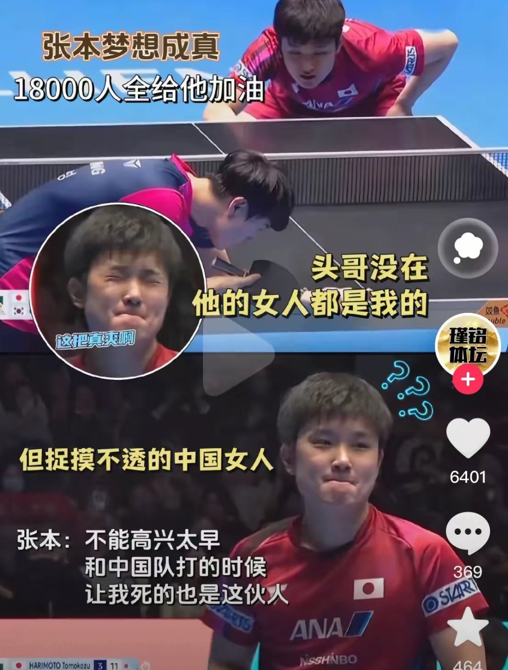 包含波兰乒乓球队逆转比利时乒乓球队，张本智和统治全场的词条