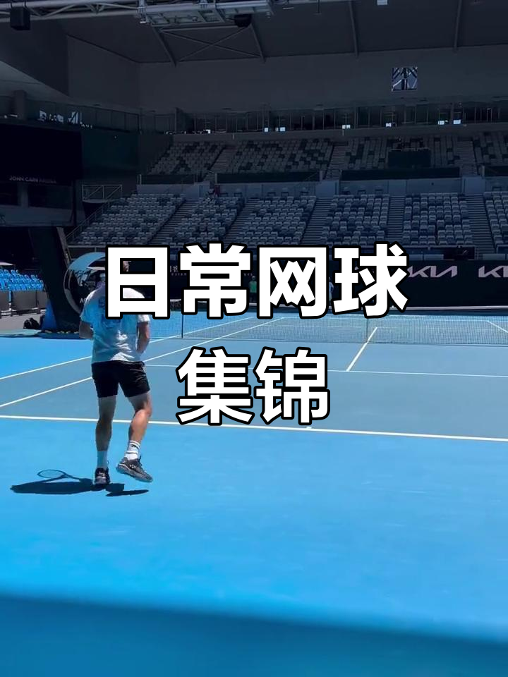 世界网球队完胜日本网球队，瓦林卡一己之力扛起全队的简单介绍