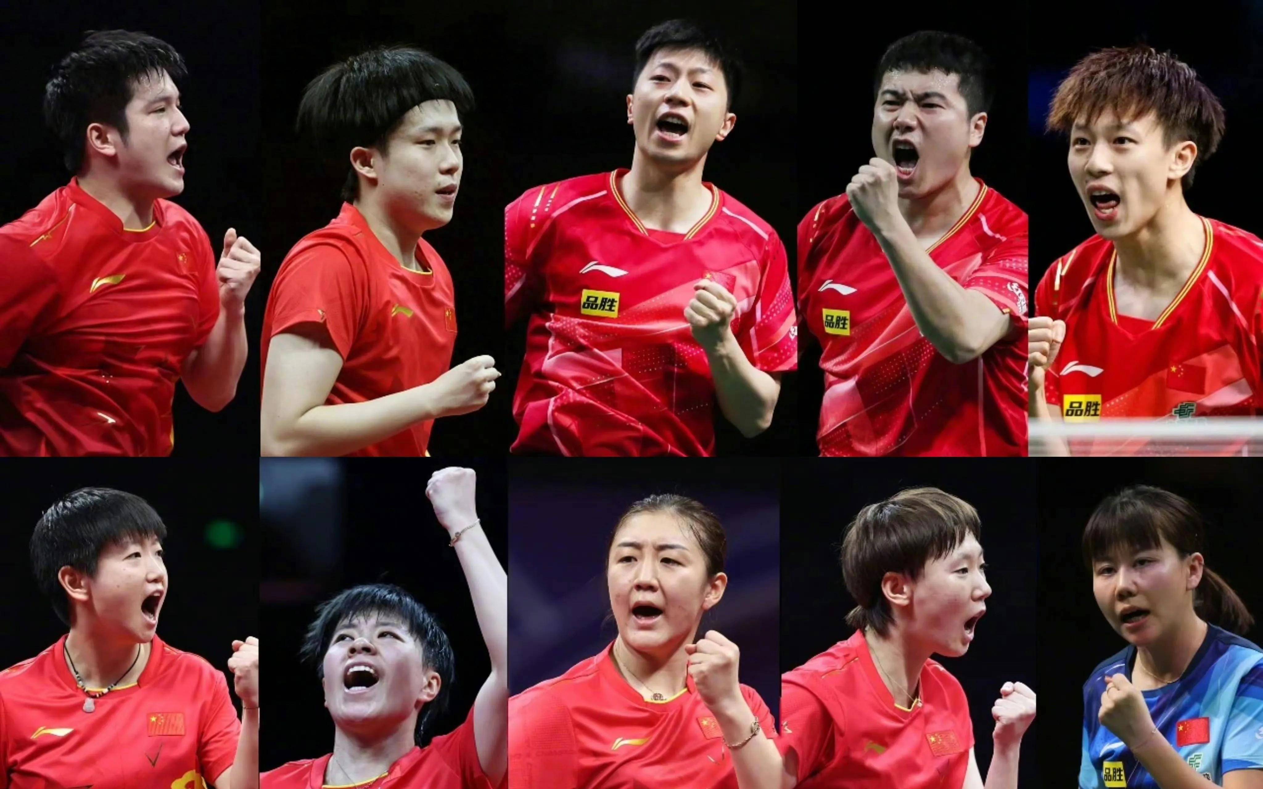 中国乒乓球队绝杀韩国乒乓球队，波尔高光表现的简单介绍