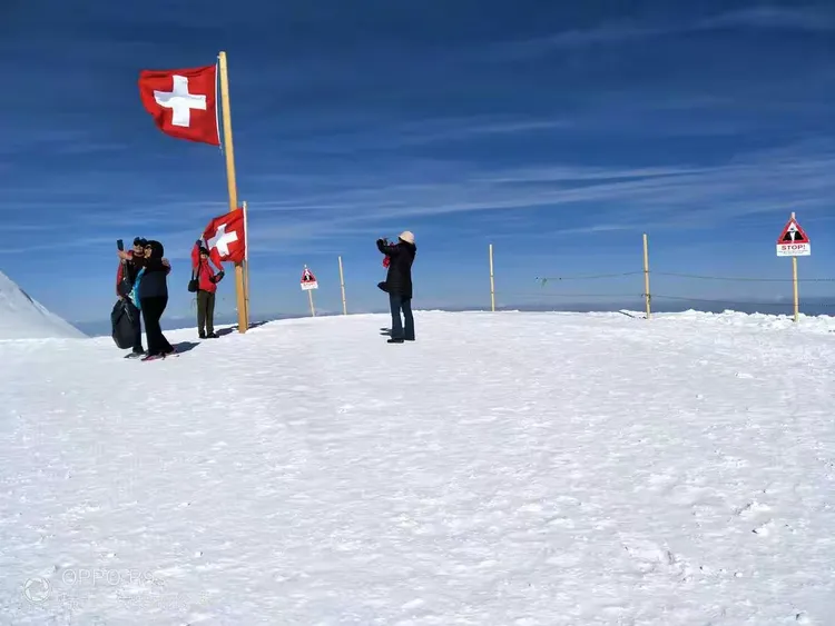 布伦山普顿胜出，展现出色比赛实力的简单介绍