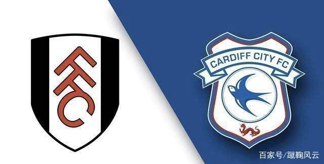 卡迪夫城主场击败富勒姆，保持保级希望的简单介绍