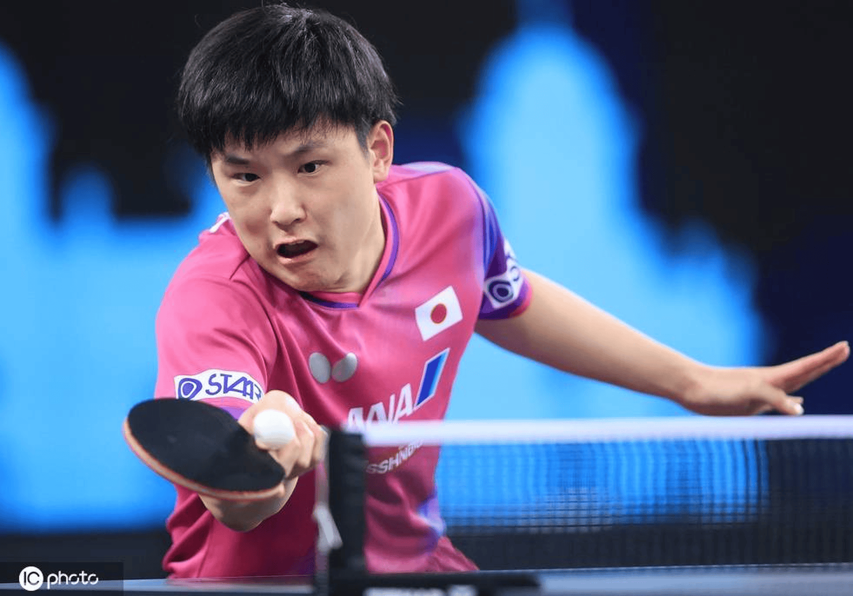 中国队横扫波兰队，张本智和状态火热