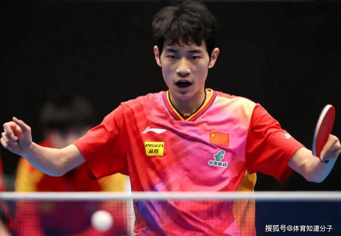 中国队横扫波兰队，张本智和状态火热