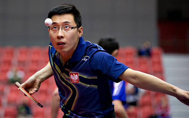 日本乒乓球队完胜波兰乒乓球队，水谷隼送出助攻的简单介绍